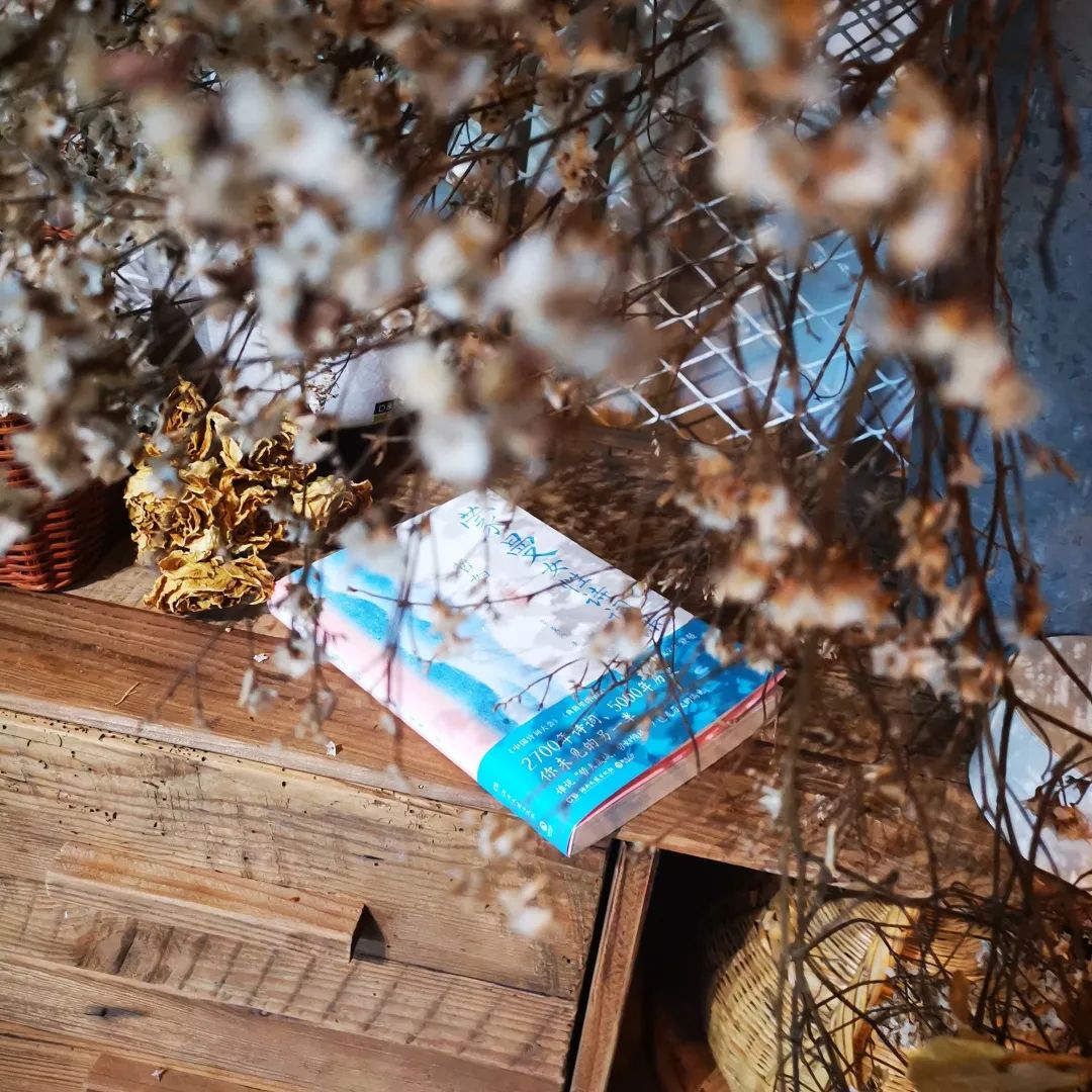 “四大美人”中的杨玉环到底有多美？休闲区蓝鸢梦想 - Www.slyday.coM