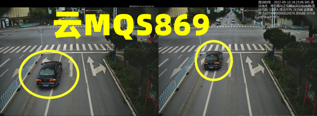 又双叒......有驾驶人压实线了！看看你上榜没休闲区蓝鸢梦想 - Www.slyday.coM