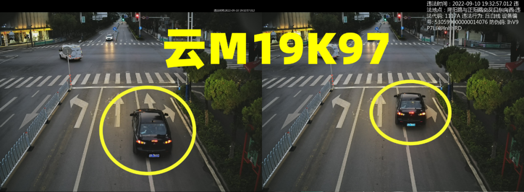 又双叒......有驾驶人压实线了！看看你上榜没休闲区蓝鸢梦想 - Www.slyday.coM