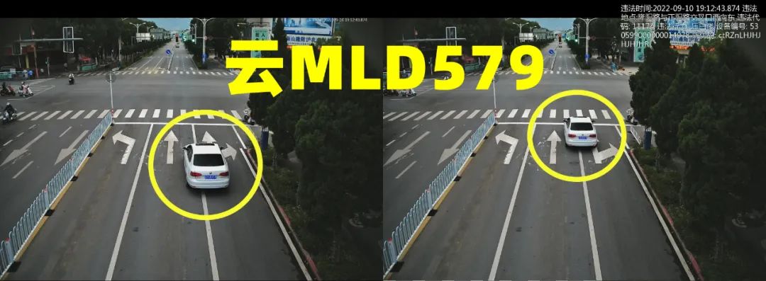 又双叒......有驾驶人压实线了！看看你上榜没休闲区蓝鸢梦想 - Www.slyday.coM