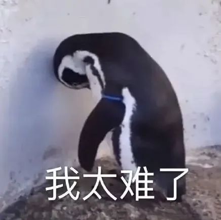 当福建方言上了电视，连福建人都懵圈了休闲区蓝鸢梦想 - Www.slyday.coM