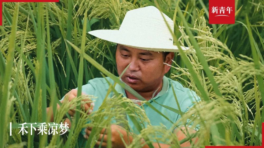 “你要把水稻种得像高粱一样高，我就请全村人吃饭”休闲区蓝鸢梦想 - Www.slyday.coM
