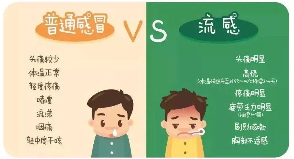 事关流感疫苗！石家庄市疾控最新提醒休闲区蓝鸢梦想 - Www.slyday.coM