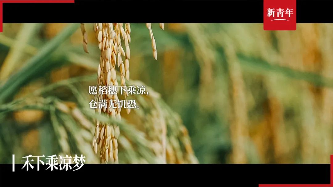 “你要把水稻种得像高粱一样高，我就请全村人吃饭”休闲区蓝鸢梦想 - Www.slyday.coM