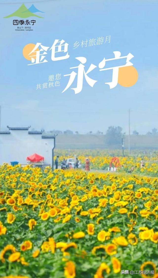 22金色永宁 乡村旅游月9月28日盛大开幕 乡村旅游 花海 新浪新闻