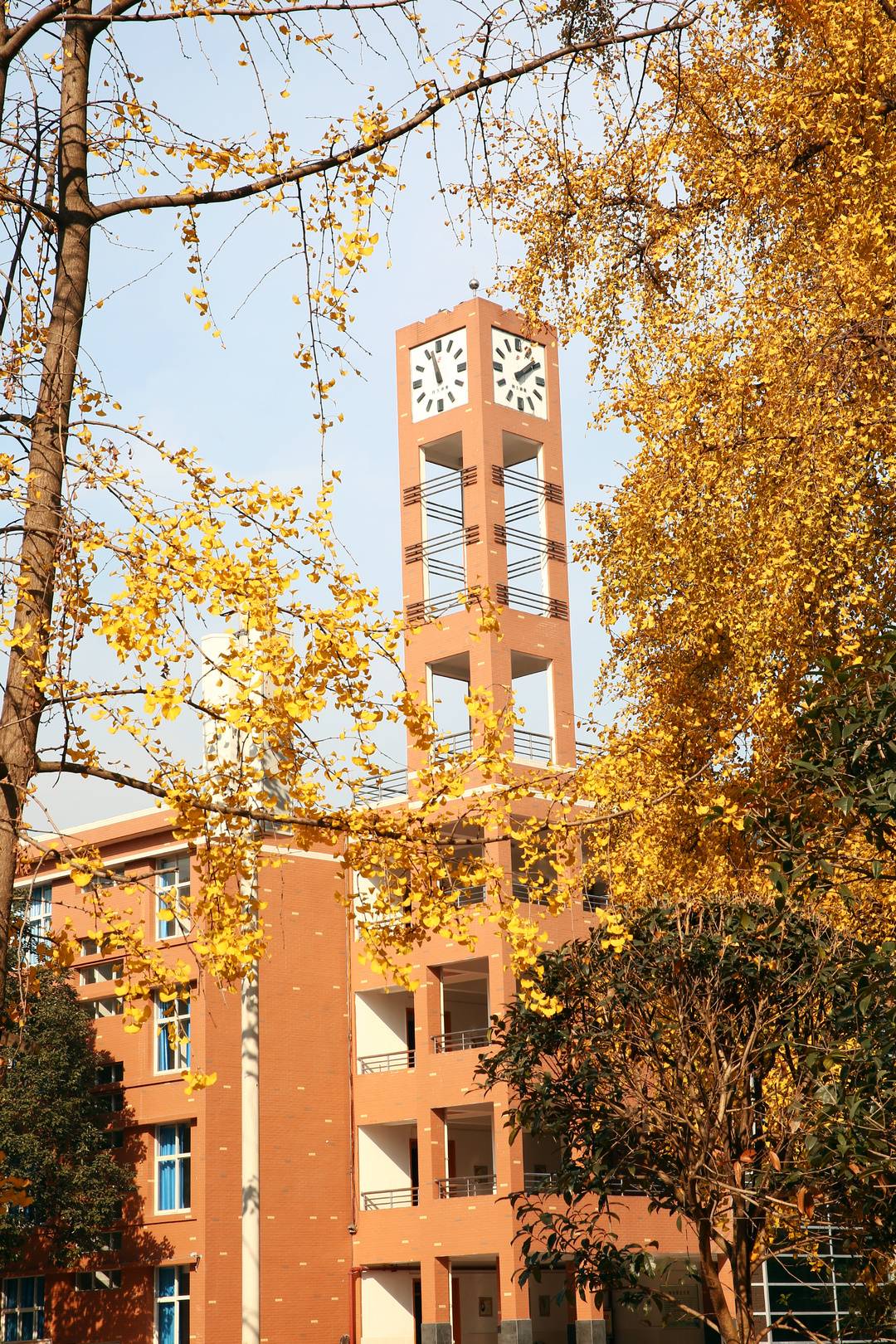 校长来了丨专访成都八中校长王宇：传统与未来融合 办新时期适合学生生长的学校休闲区蓝鸢梦想 - Www.slyday.coM