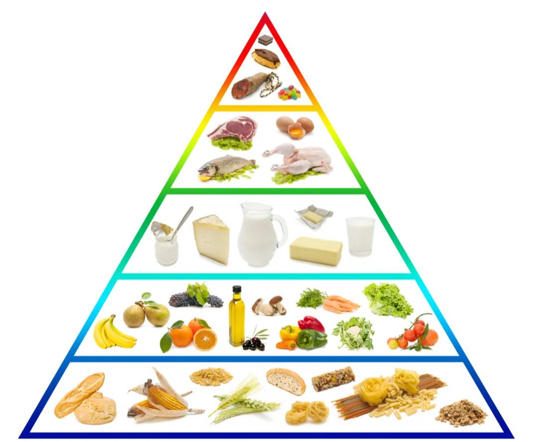 在中国营养学会发布的《中国居民膳食指南》中,推荐以谷类为主食,并