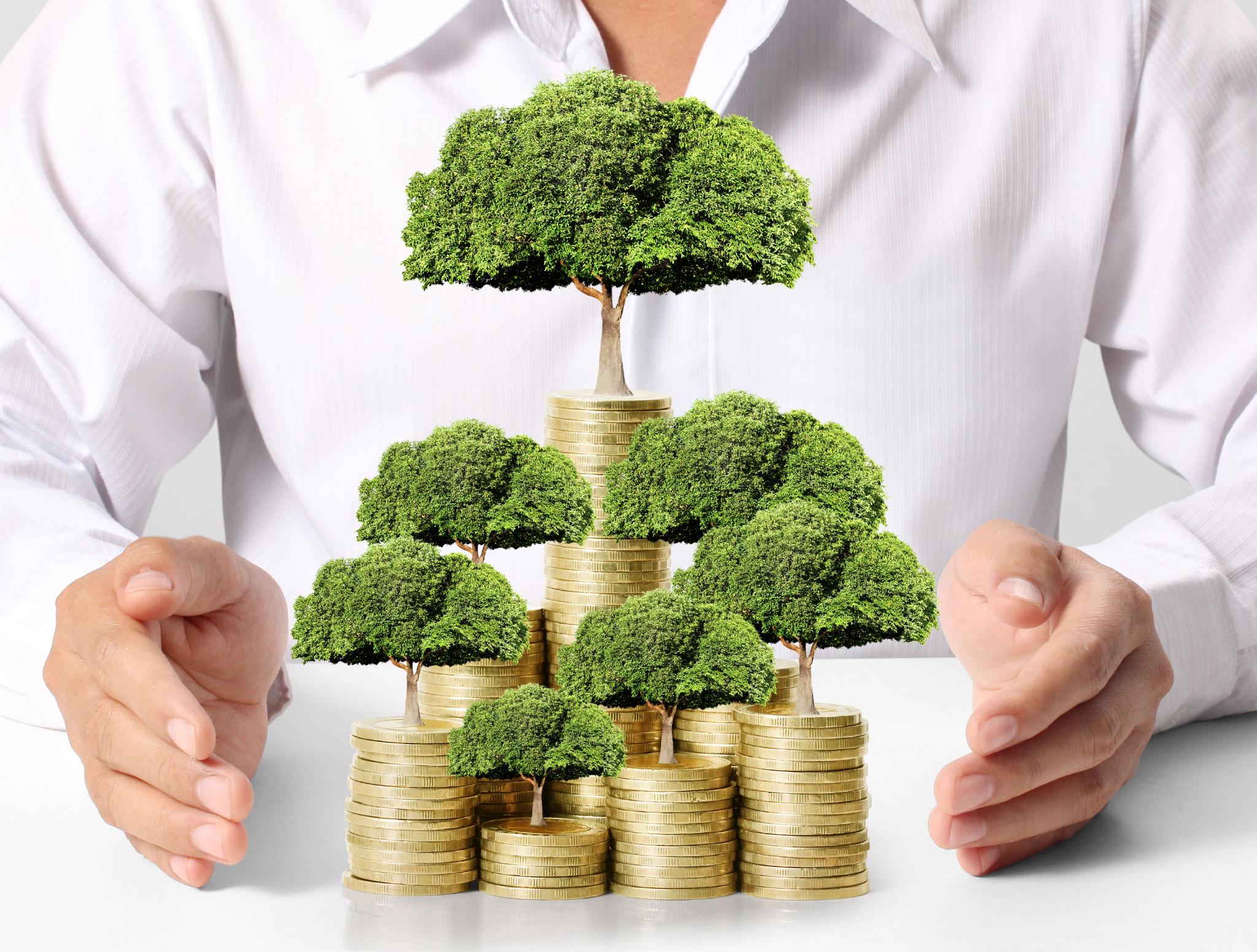 青岛农商银行成功发行该行首款绿色金融主题理财产品|青岛市_新浪财经