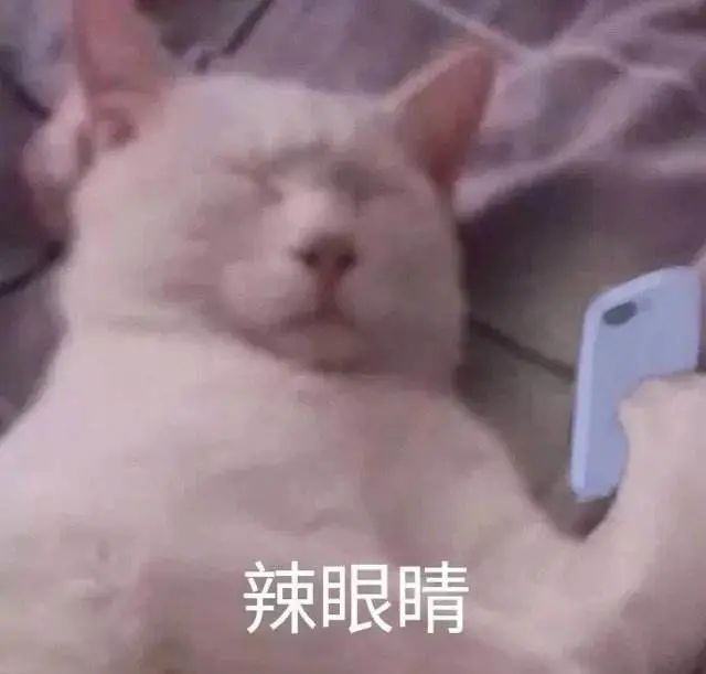 突然全网撤了!