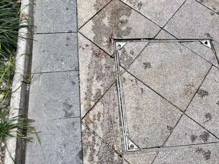 24楼突然掉下哈士奇！老人孩子被砸伤，“倒在地上起不来”休闲区蓝鸢梦想 - Www.slyday.coM