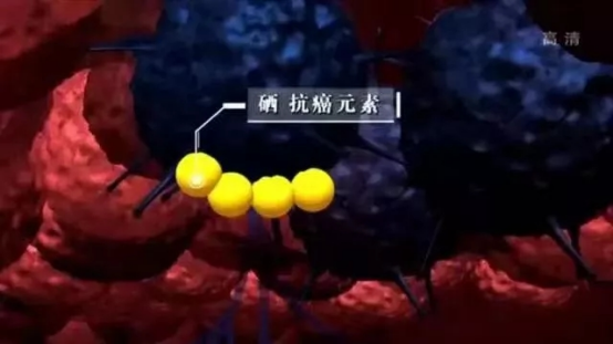 维生素D，能降低32%的胃癌风险？这5种营养素或是癌细胞的“杀伤剂”，教你这样补回来休闲区蓝鸢梦想 - Www.slyday.coM