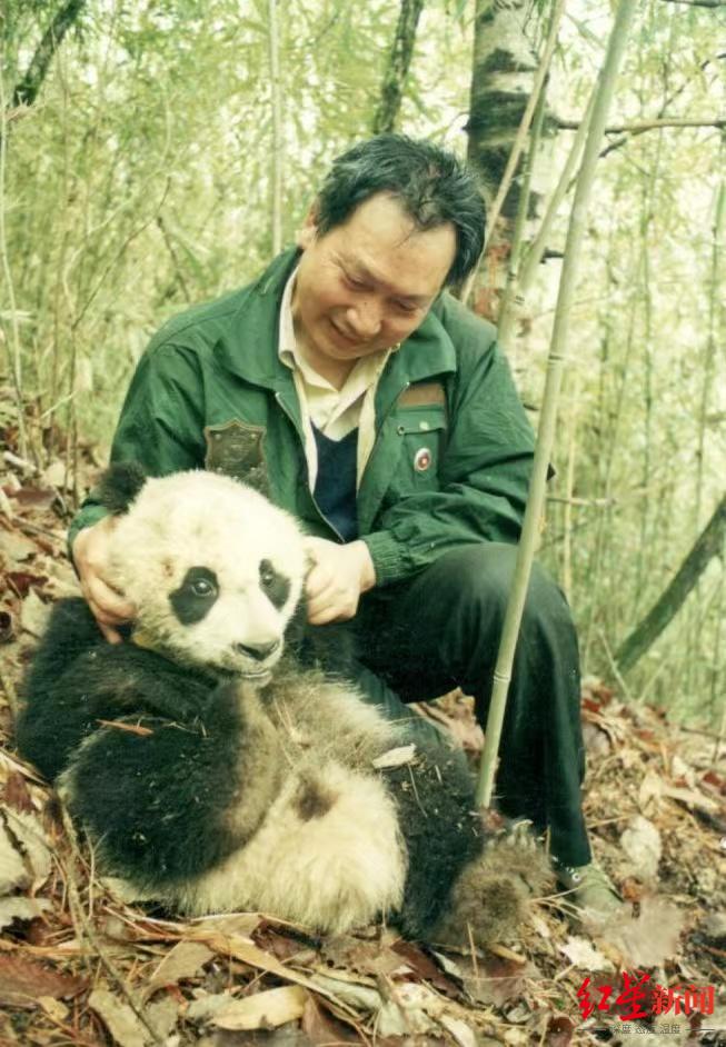 国家公园论坛丨大熊猫研究奠基人胡锦矗：大熊猫的保护区已经够了，但整体队伍素质还不够休闲区蓝鸢梦想 - Www.slyday.coM