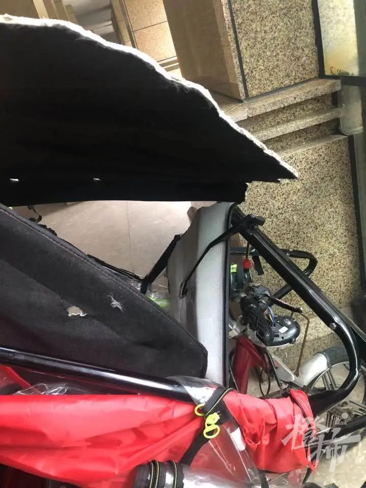 24楼突然掉下哈士奇！老人孩子被砸伤，“倒在地上起不来”休闲区蓝鸢梦想 - Www.slyday.coM