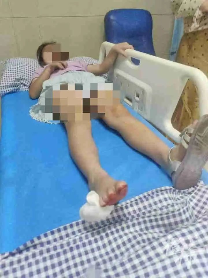 24楼突然掉下哈士奇！老人孩子被砸伤，“倒在地上起不来”休闲区蓝鸢梦想 - Www.slyday.coM