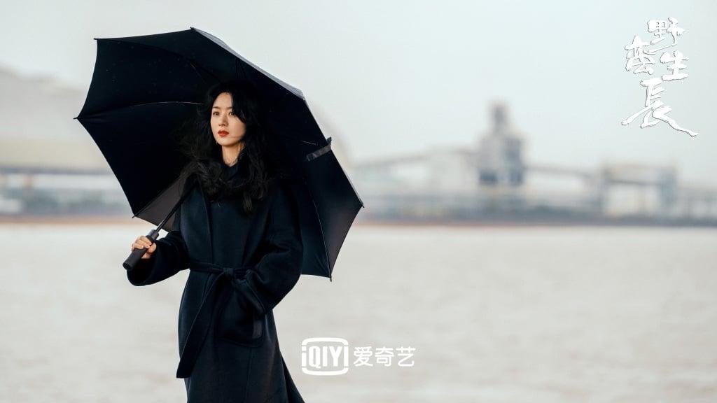 赵丽颖出演新作被指越来越肉了，她亲自大方回应：演着演着就胖了休闲区蓝鸢梦想 - Www.slyday.coM