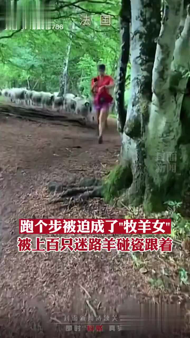 女子跑个步被迫成了&amp;quot;牧羊女&amp;quot;，被上百只迷路羊碰瓷跟着……_手机新浪网