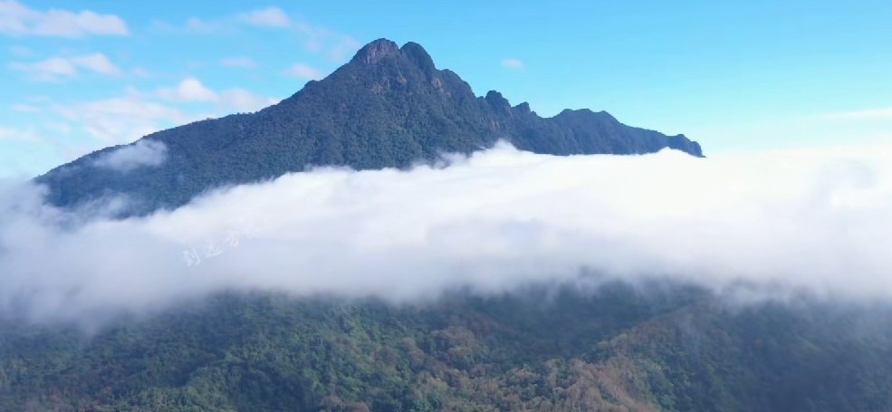 海南岛五指山风景区，海南的象征性景区，也是海南第一高山|五指山|海南|五指山景区_新浪新闻
