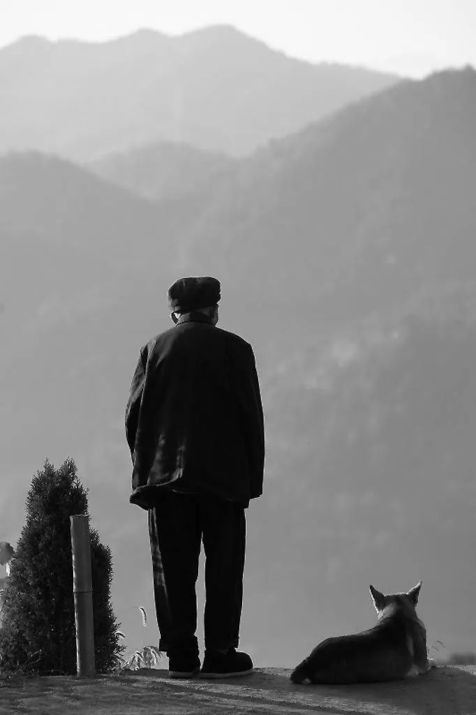 从业30年公证员口述老人心酸遗嘱:晚年的亲情,比想象中来的更残酷