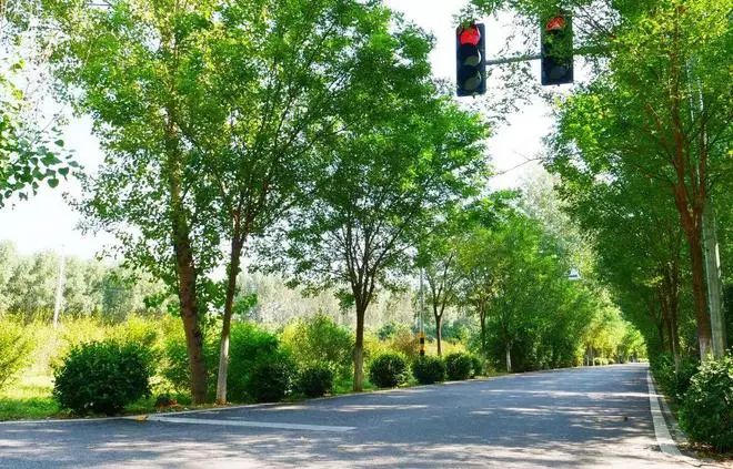 扫码就能了解路面信息，北京的乡村公路有“路长”休闲区蓝鸢梦想 - Www.slyday.coM