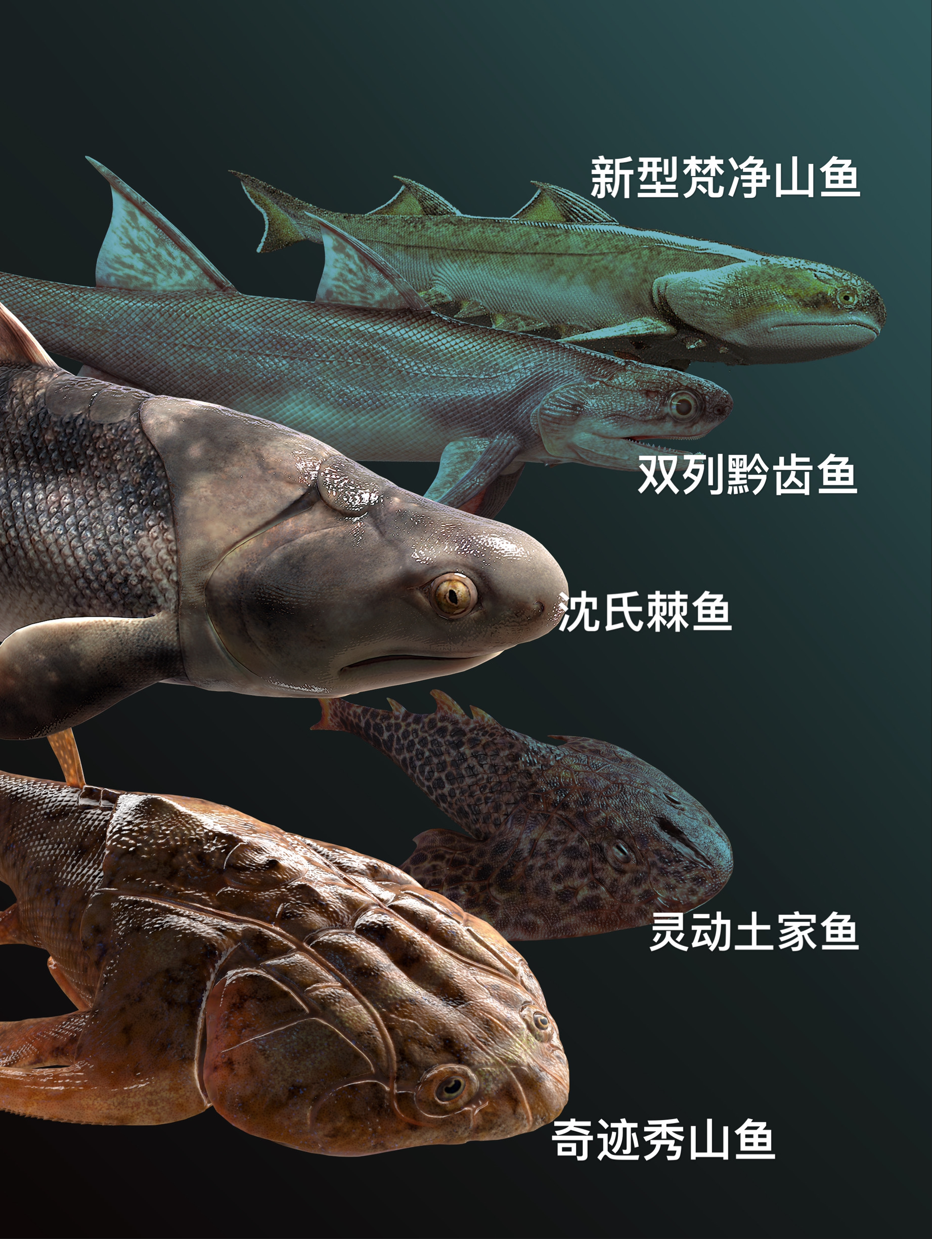 我国再添世界级化石库，填补“从鱼到人”演化史关键空白休闲区蓝鸢梦想 - Www.slyday.coM