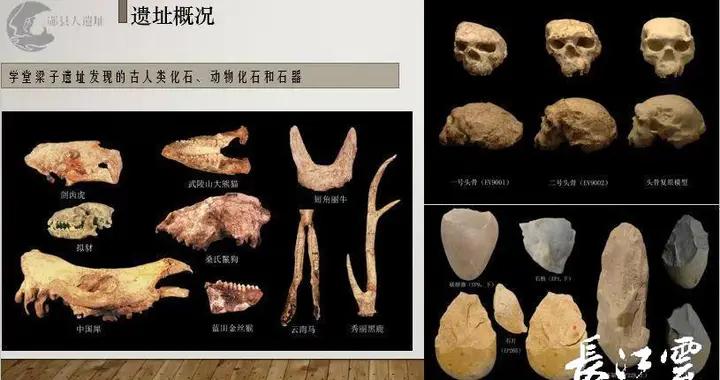 “郧县人”3号头骨化石在湖北面世，中国百万年人类演化史再添实证！|十堰市|湖北省|古人类|遗址|梁子_新浪新闻