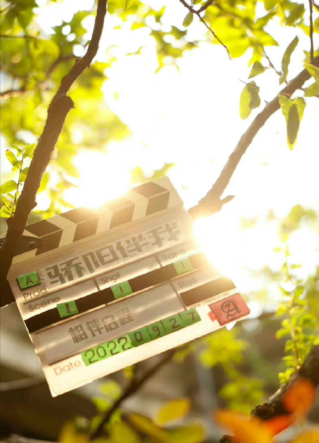 肖战《骄阳伴我》官宣，跟白百何同框照曝光，出道6年解锁新角色休闲区蓝鸢梦想 - Www.slyday.coM