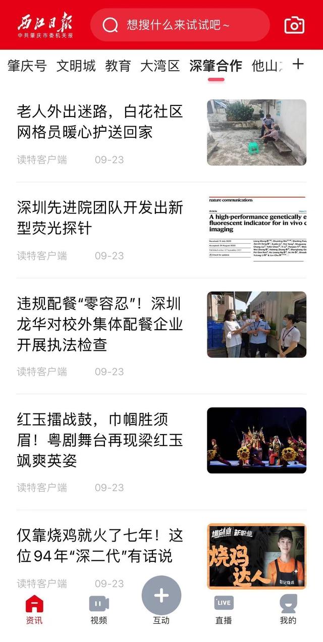 深圳+肇庆，这场大湾区的“双向奔赴”有点酷休闲区蓝鸢梦想 - Www.slyday.coM