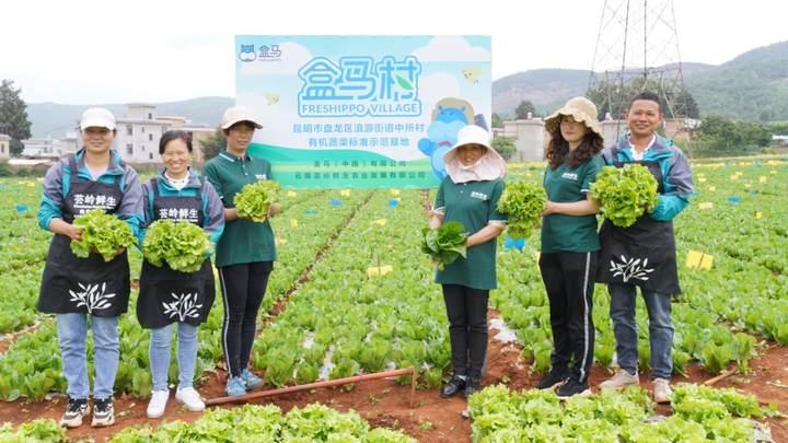 有机食材，你买过吗？盒马：销售逐年增长，购买人数三年来翻了4倍休闲区蓝鸢梦想 - Www.slyday.coM