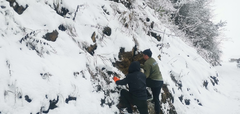 夯实“从鱼到人”演化路径，我国科学家填补“一个顽固存在的重大空白”休闲区蓝鸢梦想 - Www.slyday.coM