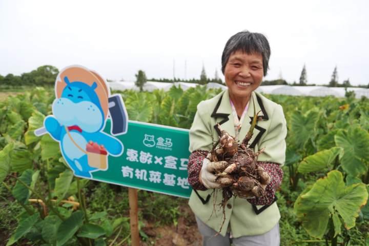 有机食材，你买过吗？盒马：销售逐年增长，购买人数三年来翻了4倍休闲区蓝鸢梦想 - Www.slyday.coM