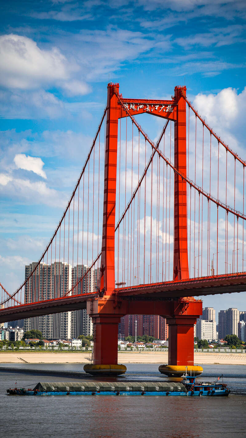 青年眼鹦鹉洲长江大桥