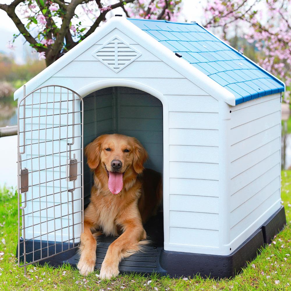 养狗需要准备的东西,“新手”看过来休闲区蓝鸢梦想 - Www.slyday.coM 养狗需要准备的东西,“新手”看过来休闲区蓝鸢梦想 - Www.slyday.coM