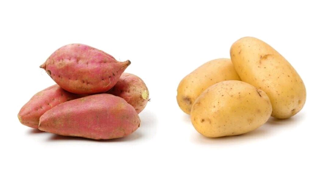 老是憋屁，对身体好吗？经常放屁是在排废气，是真的吗？建议了解休闲区蓝鸢梦想 - Www.slyday.coM