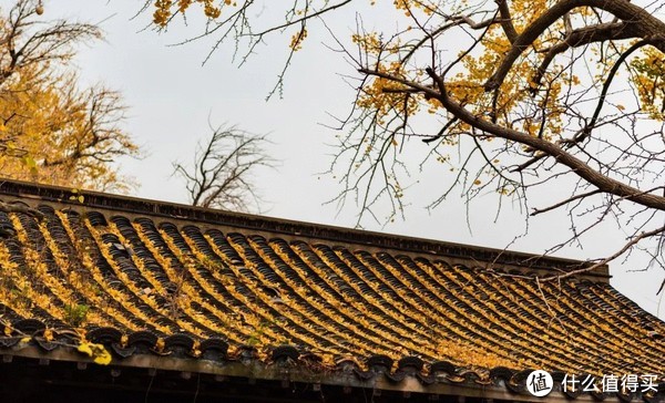 这座高铁直达，有山有海的小城，早该被看到了！休闲区蓝鸢梦想 - Www.slyday.coM