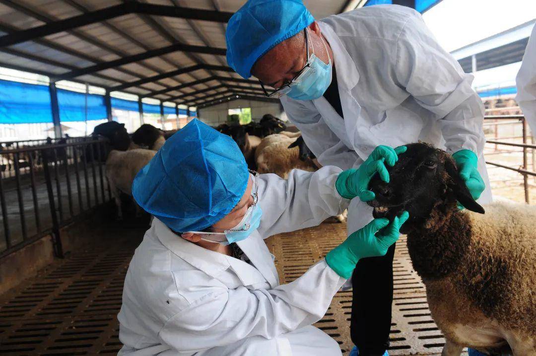 事关身份证申领、车检、新交通标志……10月新规来了！休闲区蓝鸢梦想 - Www.slyday.coM