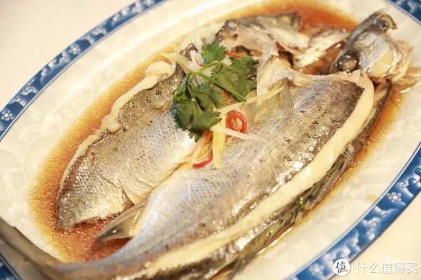 这座高铁直达，有山有海的小城，早该被看到了！休闲区蓝鸢梦想 - Www.slyday.coM