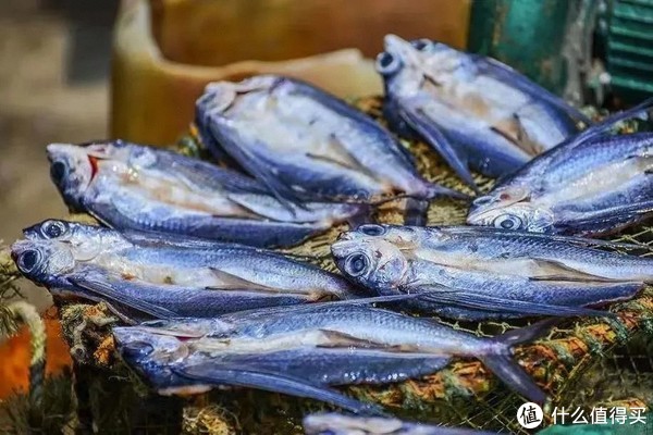 这座高铁直达，有山有海的小城，早该被看到了！休闲区蓝鸢梦想 - Www.slyday.coM