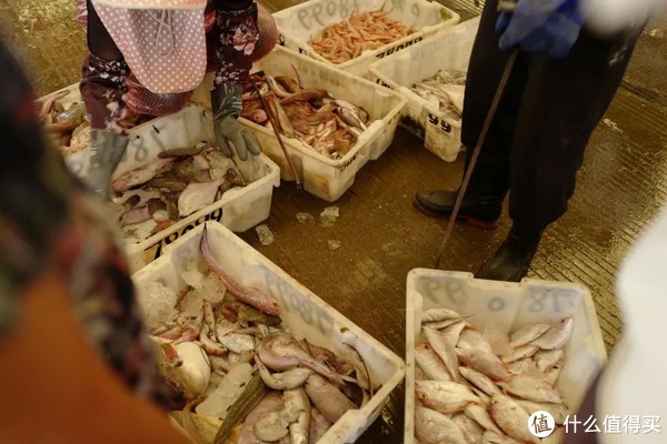 这座高铁直达，有山有海的小城，早该被看到了！休闲区蓝鸢梦想 - Www.slyday.coM