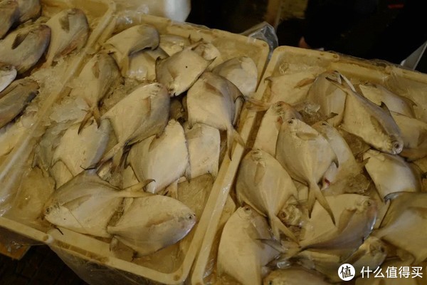 这座高铁直达，有山有海的小城，早该被看到了！休闲区蓝鸢梦想 - Www.slyday.coM