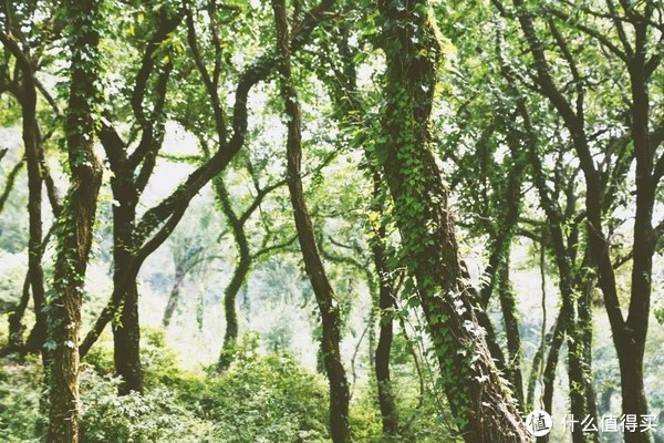 这座高铁直达，有山有海的小城，早该被看到了！休闲区蓝鸢梦想 - Www.slyday.coM