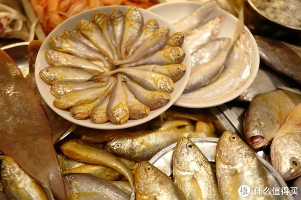 这座高铁直达，有山有海的小城，早该被看到了！休闲区蓝鸢梦想 - Www.slyday.coM