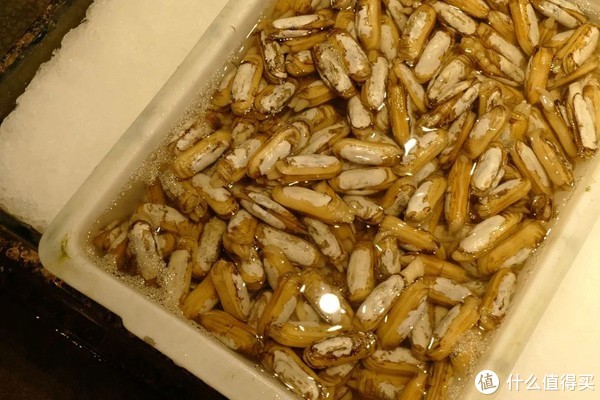 这座高铁直达，有山有海的小城，早该被看到了！休闲区蓝鸢梦想 - Www.slyday.coM