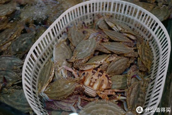 这座高铁直达，有山有海的小城，早该被看到了！休闲区蓝鸢梦想 - Www.slyday.coM