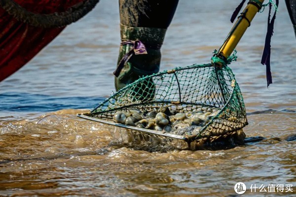 这座高铁直达，有山有海的小城，早该被看到了！休闲区蓝鸢梦想 - Www.slyday.coM