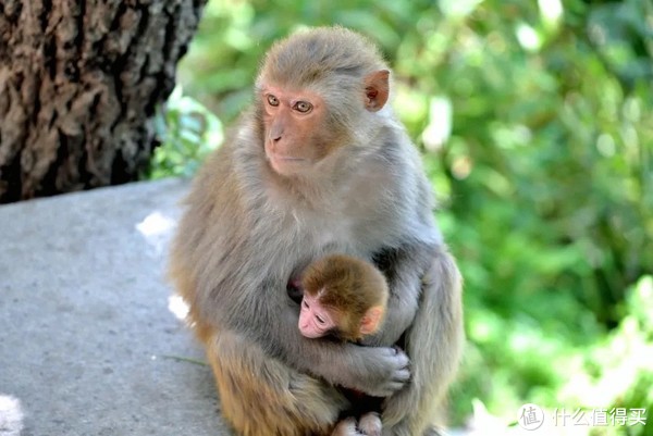 这座高铁直达，有山有海的小城，早该被看到了！休闲区蓝鸢梦想 - Www.slyday.coM