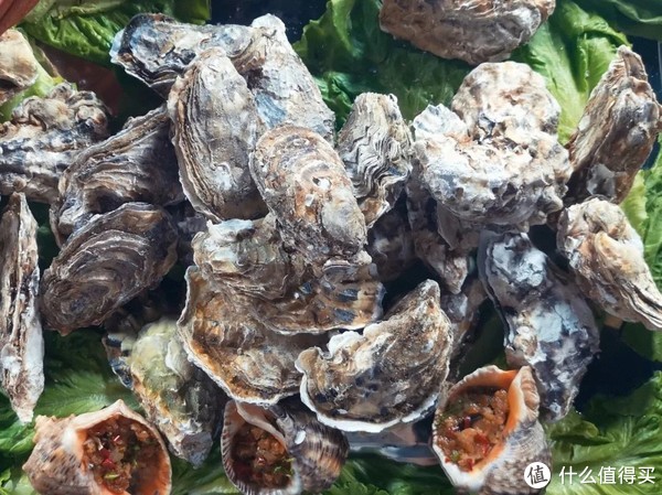 这座高铁直达，有山有海的小城，早该被看到了！休闲区蓝鸢梦想 - Www.slyday.coM