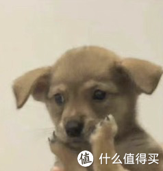 这座高铁直达，有山有海的小城，早该被看到了！休闲区蓝鸢梦想 - Www.slyday.coM