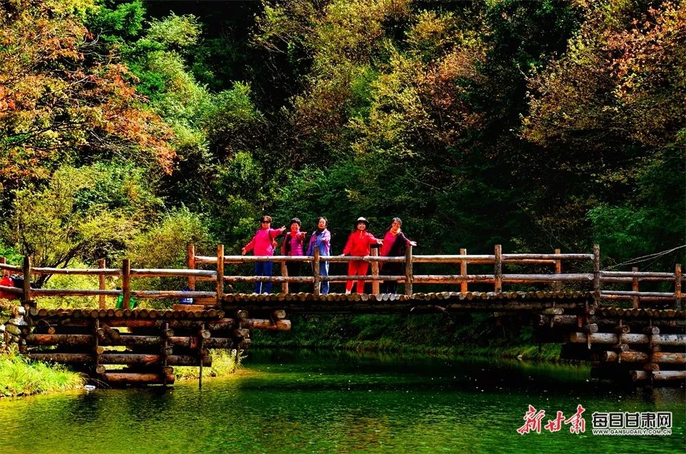 珍藏版宕昌官鹅沟秋日风景来啦!|甘肃省_新浪财经_新浪网
