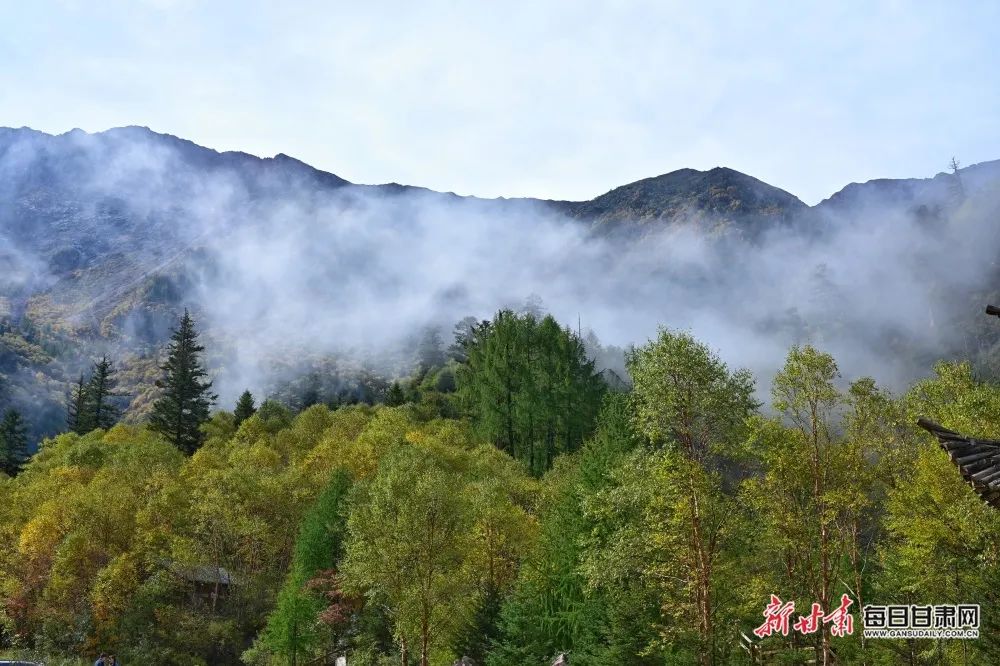 珍藏版宕昌官鹅沟秋日风景来啦!|甘肃省_新浪财经_新浪网