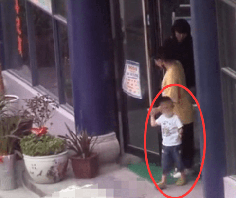 杨颖儿子帅气，赵丽颖儿子长得高，85花生的孩子基因优良！休闲区蓝鸢梦想 - Www.slyday.coM